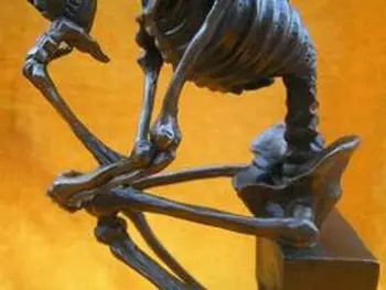 Stor størrelse Vidunderlige messing Kraniet Tænker Skulptur Statue af kobber håndværk værktøjer bryllup Dekoration Messing fast Messing messing