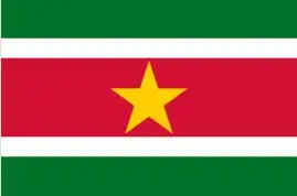 Surinam Flag Engros Masse af 10 STK Nationale Polyester Banner150* 90cm x 3 ft 5ft over Hele verden, udendørs