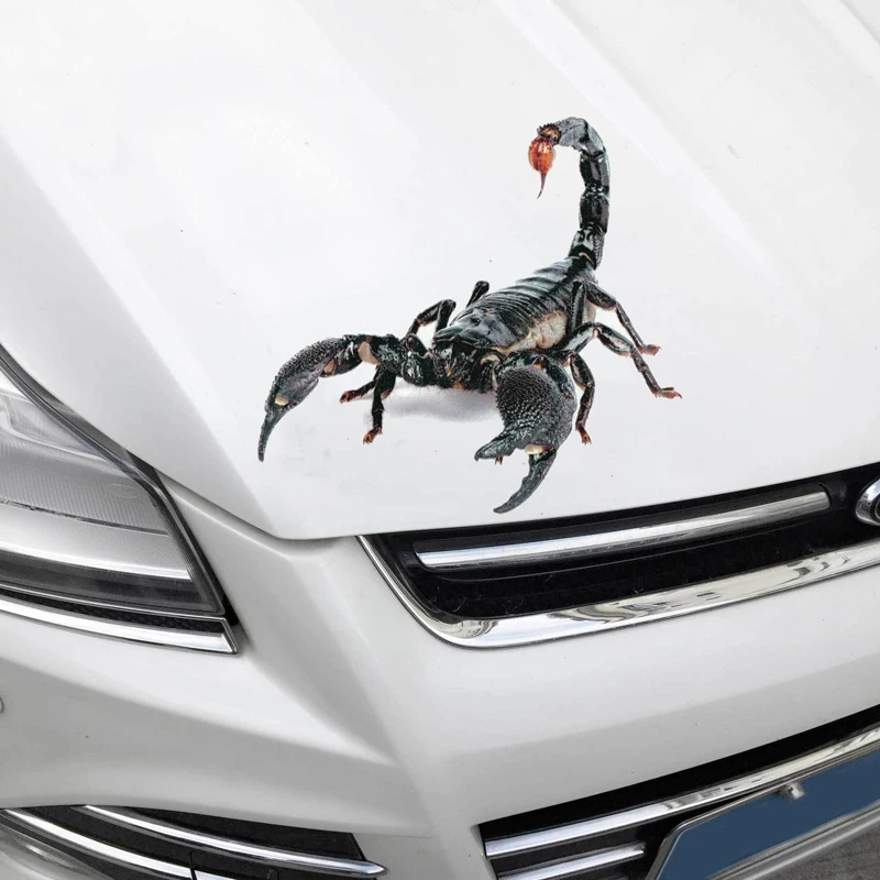 3D-Bil tilbehør Mærkat Dyr Spider Gecko Scorpions Vinyl Decal for Ford Transit Ranger Mustang Ka Fusion