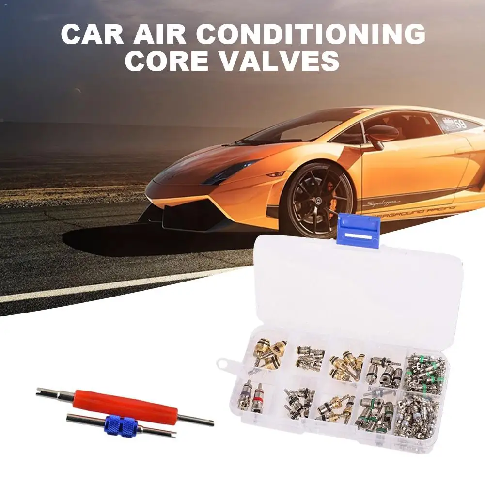 Bil Aircondition Core Ventiler 102PcsR12 R134A Automotive A/C Ventilen Kerner w/Fjernelse Værktøj til Bil Air Contitionaing Reparation